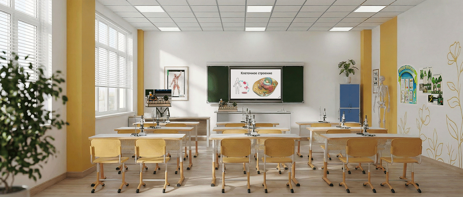 Кабинет биологии и экологии